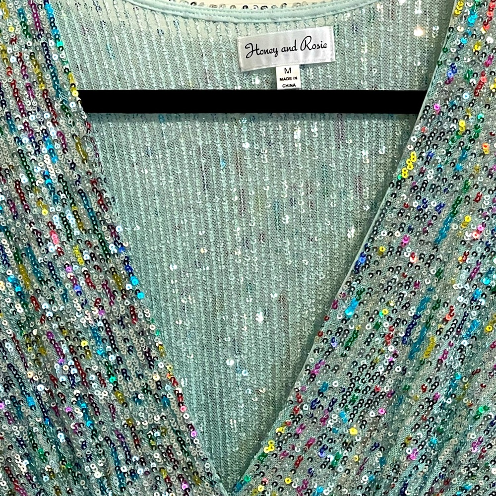 Long Sleeve Plunging V-Neck Shinny